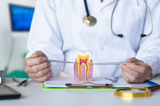 Trusted LA Emergency Dental Service Experts